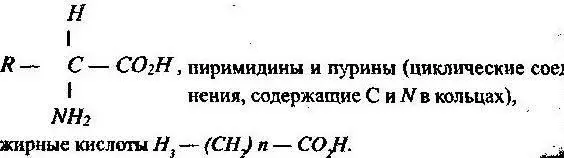 Таким образом на Земле были условия для образования сложных органических - фото 24