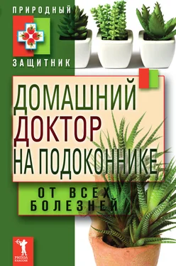 Юлия Николаева Домашний доктор на подоконнике. От всех болезней обложка книги