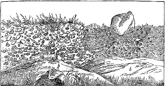 Рис 5 Зарисовка обнажения морены у г Хяменлинна в Финляндии из книги П А - фото 5