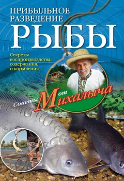 Николай Звонарев Прибыльное разведение рыбы обложка книги