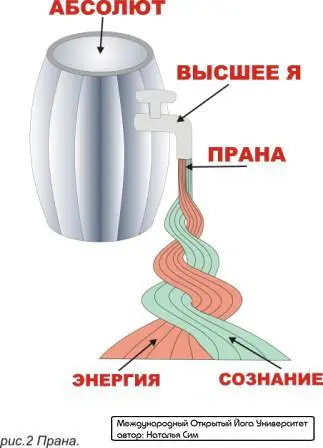 Прана Я недаром начал этот рассказ с Сознания и Энергии Потому что Сознание и - фото 5