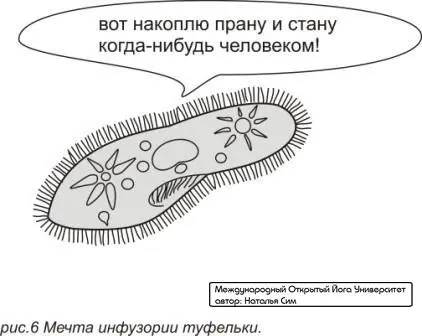 Из жизни в жизнь микроорганизм рождается и умирает увеличивает количество - фото 8