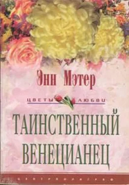 Энн Мэтер Таинственный венецианец обложка книги