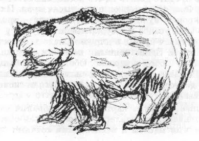 Немцы большинство еврейского происхождения покупали картины Мунка задолго до - фото 12