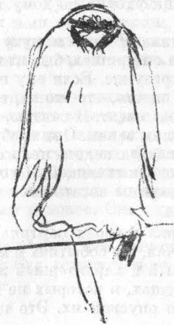 Это не фраза что Мунку деньги были безразличны и единственное о чем он - фото 13