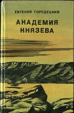 Евгений Городецкий АКАДЕМИЯ КНЯЗЕВА обложка книги