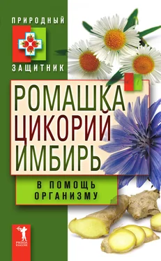 Юлия Николаева Ромашка, цикорий, имбирь в помощь организму обложка книги