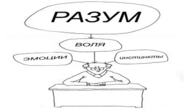 И наоборот бывают сверхволевые люди с минимальным уровнем развития Разумом - фото 5