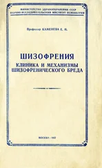 Елена Каменева - Шизофрения - клиника и механизмы шизофренического бреда