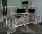 Air raid sirens Revelutionary Martyrs Cemetery on Mount Taesong Review All - фото 6