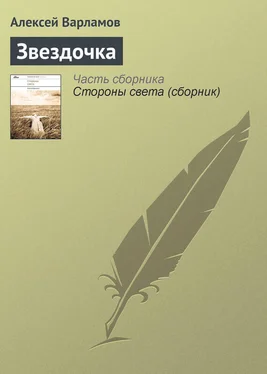 Алексей Варламов Звездочка обложка книги