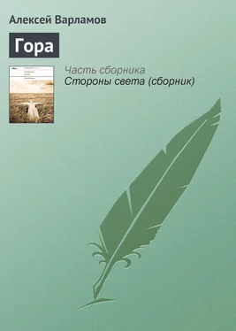 Алексей Варламов Гора обложка книги