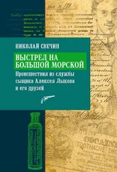 Николай Свечин - Выстрел на Большой Морской