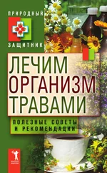 Ю. Николаева - Лечим организм травами. Полезные советы и рекомендации