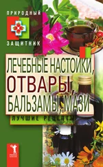 Ю. Николаева - Лечебные настойки, отвары, бальзамы, мази. Лучшие рецепты