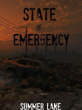 Summer Lane State of Emergency обложка книги