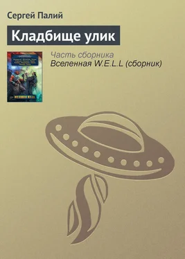 Сергей Палий Кладбище улик обложка книги