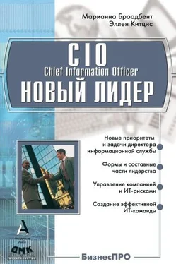 Эллен Китцис CIO новый лидер. Постановка задач и достижение целей