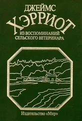 Джеймс Хэрриот - Из воспоминаний сельского ветеринара