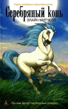Элайн Митчелл Серебряный конь обложка книги
