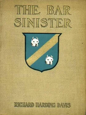 Richard Davis The Bar Sinister (1903) обложка книги