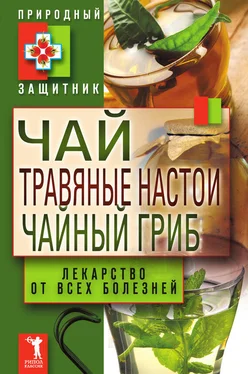 Ю. Николаева Чай, травяные настои, чайный гриб. Лекарства от всех болезней обложка книги