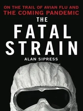 Alan Sipress The Fatal Strain