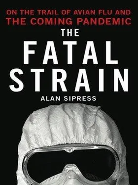 Alan Sipress The Fatal Strain обложка книги