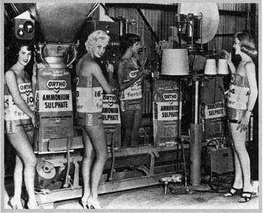 When a cow dies on a visit to the hospital it does not go to a morgue It goes - фото 12