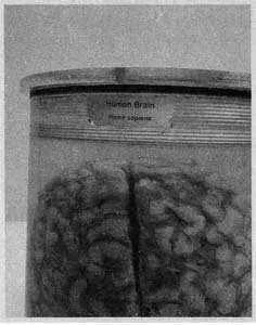 It has long been a tradition among anatomy professors to donate their bodies to - фото 13