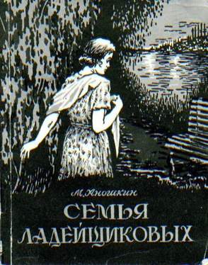 Михаил Аношкин Семья Ладейщиковых обложка книги