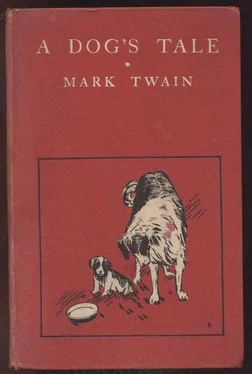 Mark Twain A Dog's Tale обложка книги