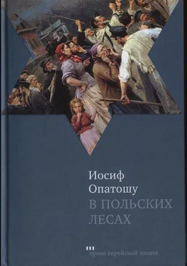 Иосиф Опатошу В польских лесах обложка книги