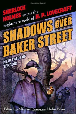 Neil Gaiman Shadows over Baker Street обложка книги