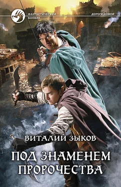 Виталий Зыков Под знаменем пророчества (Другая редакция) обложка книги