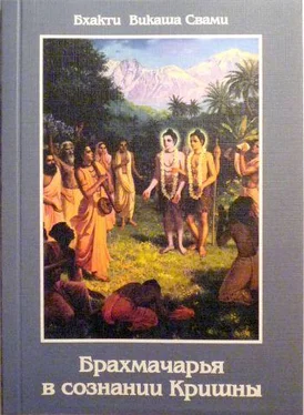 Бхакти Свами Брахмачарья в Сознании Кришны обложка книги