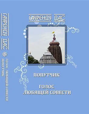 Гауренду Голос любящей Совести. Попутчик обложка книги