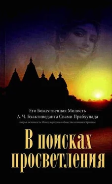 Свами Прабхупада В поисках просветления обложка книги