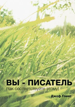 Джеф Гоинс Вы - писатель обложка книги