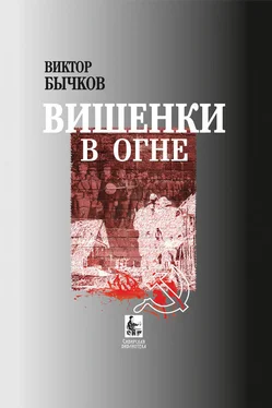 Виктор Бычков Вишенки в огне обложка книги