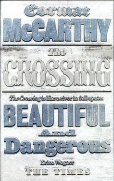 Cormac McCarthy The Crossing