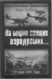 Тухлая солонина Александр Булах Солонин М На мирно спящих аэродромах - фото 21