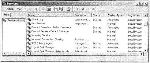 Рис 17 Апплет Services на серверных платформах Windows На рис 17 показаны - фото 8
