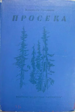 Владимир Ляленков Просека обложка книги