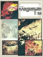 Ольга Ларионова - Звездочка-Во-Лбу (Чакра Кентавра)