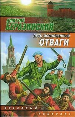 Дмитрий Беразинский Путь, исполненный отваги обложка книги