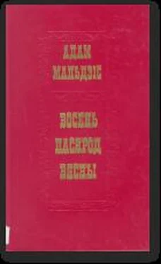 Адам Мальдис Восень пасярод вясны обложка книги