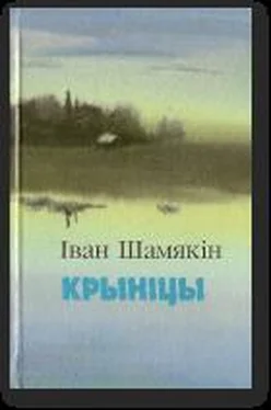 Иван Шамякин Крыніцы обложка книги