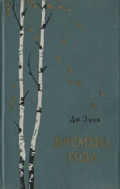 Дмитрий Зуев Времена года обложка книги