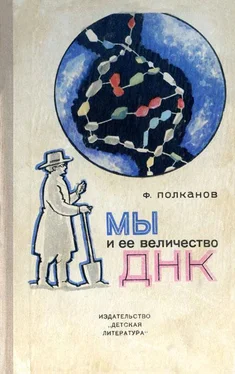 Федор Полканов Мы и её величество ДНК обложка книги